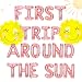 Roaring Good Time Rose Gold First Trip Around the Sun Balloons First Trip Around the Sun Party Decoration Sun First Birthday Party Decoration Sun Balloons Sun First Birthday Party Supplies - Image 2