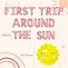 Roaring Good Time Rose Gold First Trip Around the Sun Balloons First Trip Around the Sun Party Decoration Sun First Birthday Party Decoration Sun Balloons Sun First Birthday Party Supplies - Image 4