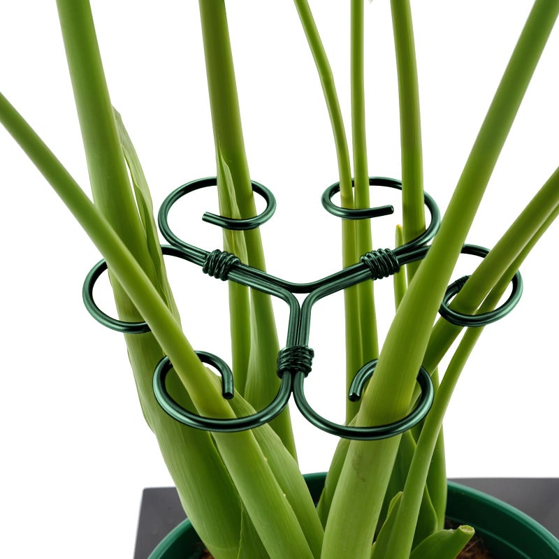 Yeomant 4PCS Green Iron Monstera Support, Uniquely Designed Plant Support Stakes for Indoor Plants, Stable Plant Stakes and Supports, Turtle Shell Bamboo Clamp Set for Thriving Growth - Image 1