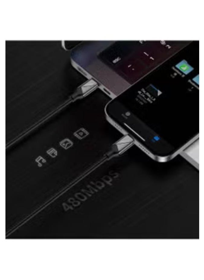 Ritchie RS18CC Travel Series Type-C to Type-C PD 240W Fast Data Charging and 1.5m Charging Cable