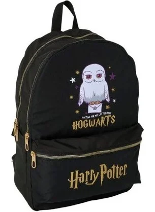 Harry Potter School Bag 2102; 2023