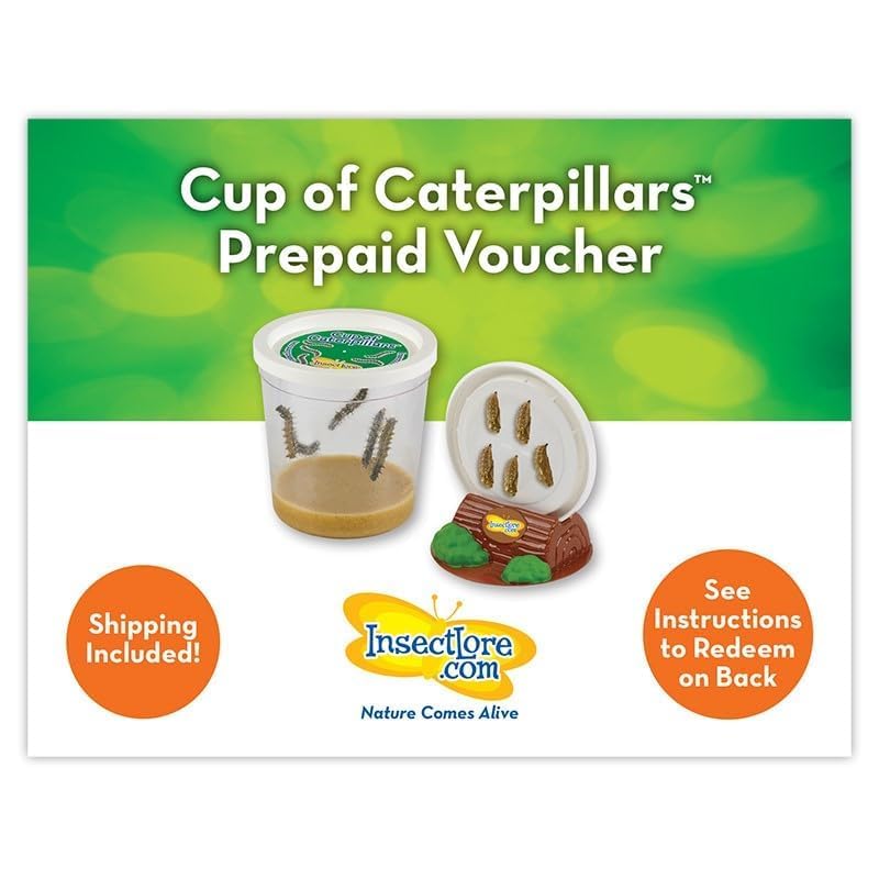 Insect Lore Butterfly Garden with All-Inclusive Voucher to Redeem Caterpillars, Ultra-Clear Dome Habitat - Butterfly Raising Kit, Raise 5 Painted Lady Butterflies from USA - Image 2