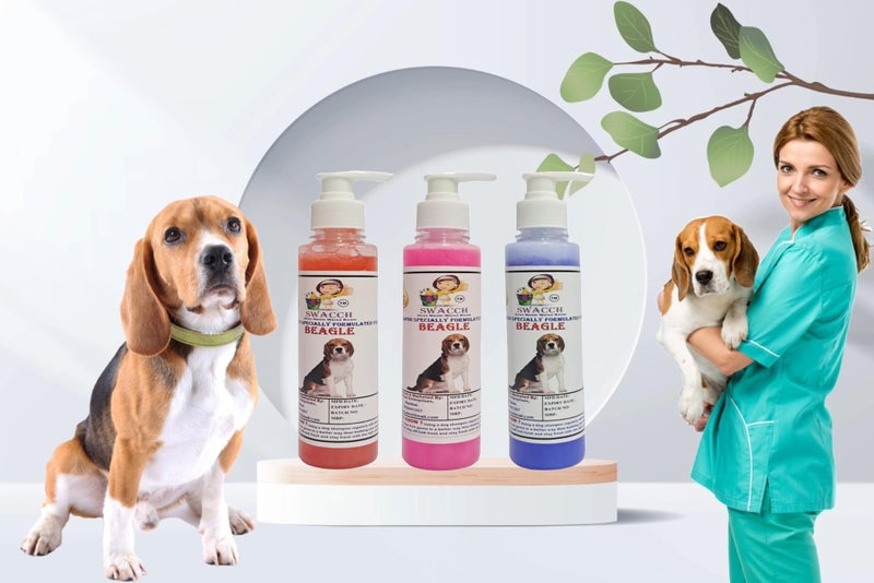 SWACCH Premium Shampoo for Beagle (200ML)(Combo Pack of 3) Jasmine, Rose & Lavender - Image 2
