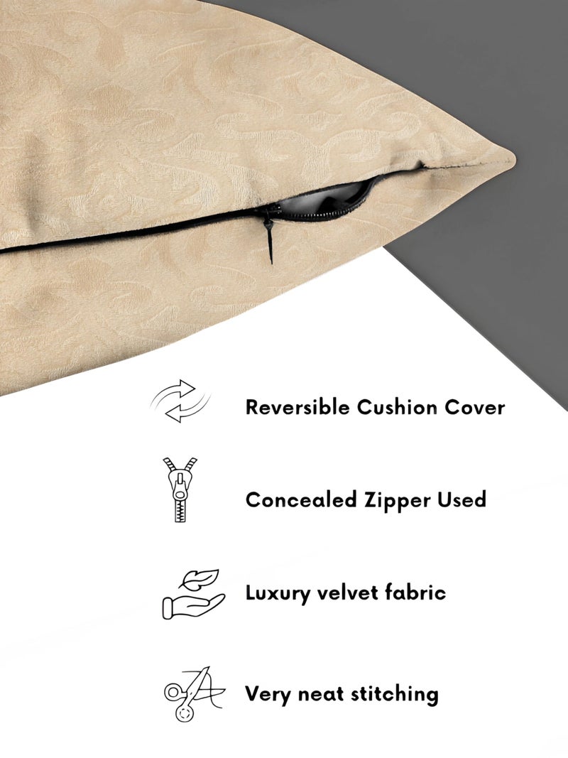 STARNSTYLE Velvet Decorative Cushion Cover 24x24 Inch - Set of 2, Soft Solid Damask Square Throw Pillow Covers for Sofa, Living Room or Home Decor - 60x60 cm Beige - Image 4