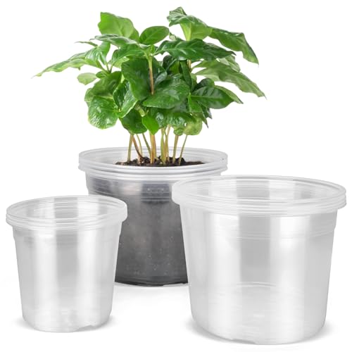DUNPUTE 6/8/10 Inch Large Clear Nursery Pots with Drainage, 12 Pack Plastic Pots for Plants, Ideal Seedling Pots and Plant Pots for Vegetables, Orchids, Aloe, Indoor Outdoor Use (6 8 10 inch) - Image 1