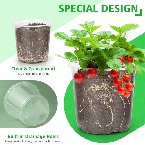 DUNPUTE 6/8/10 Inch Large Clear Nursery Pots with Drainage, 12 Pack Plastic Pots for Plants, Ideal Seedling Pots and Plant Pots for Vegetables, Orchids, Aloe, Indoor Outdoor Use (6 8 10 inch) - Image 3
