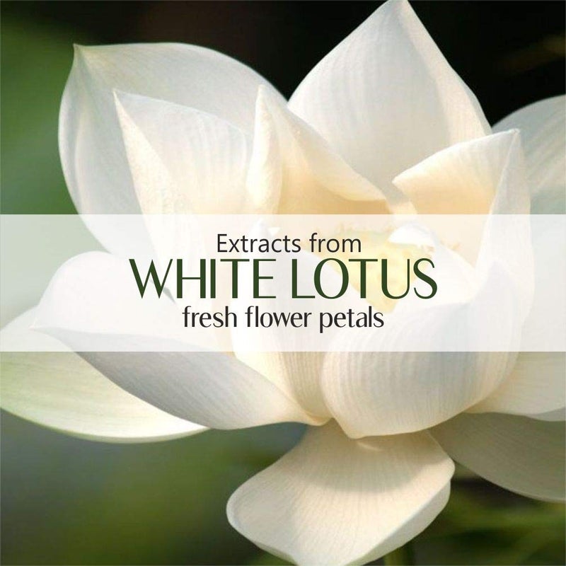 Old Tree Old Tree White Lotus Essential Oil for Women 15ml Lotus Flower Oil with Dropper for Face Glowing Skin and Home Fragrance Massage Oil for Relaxation and Soothing Skin  - Image 2