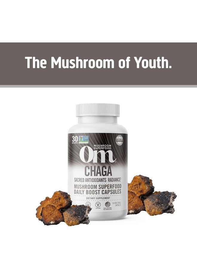 OM CHAGA MUSHROOM SUPERFOOD 90VCAPS - Image 2