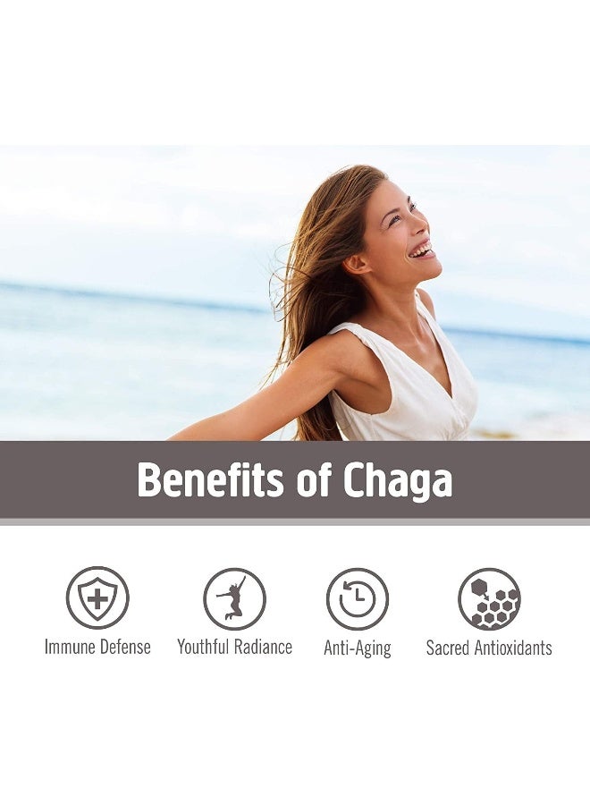 OM CHAGA MUSHROOM SUPERFOOD 90VCAPS - Image 3