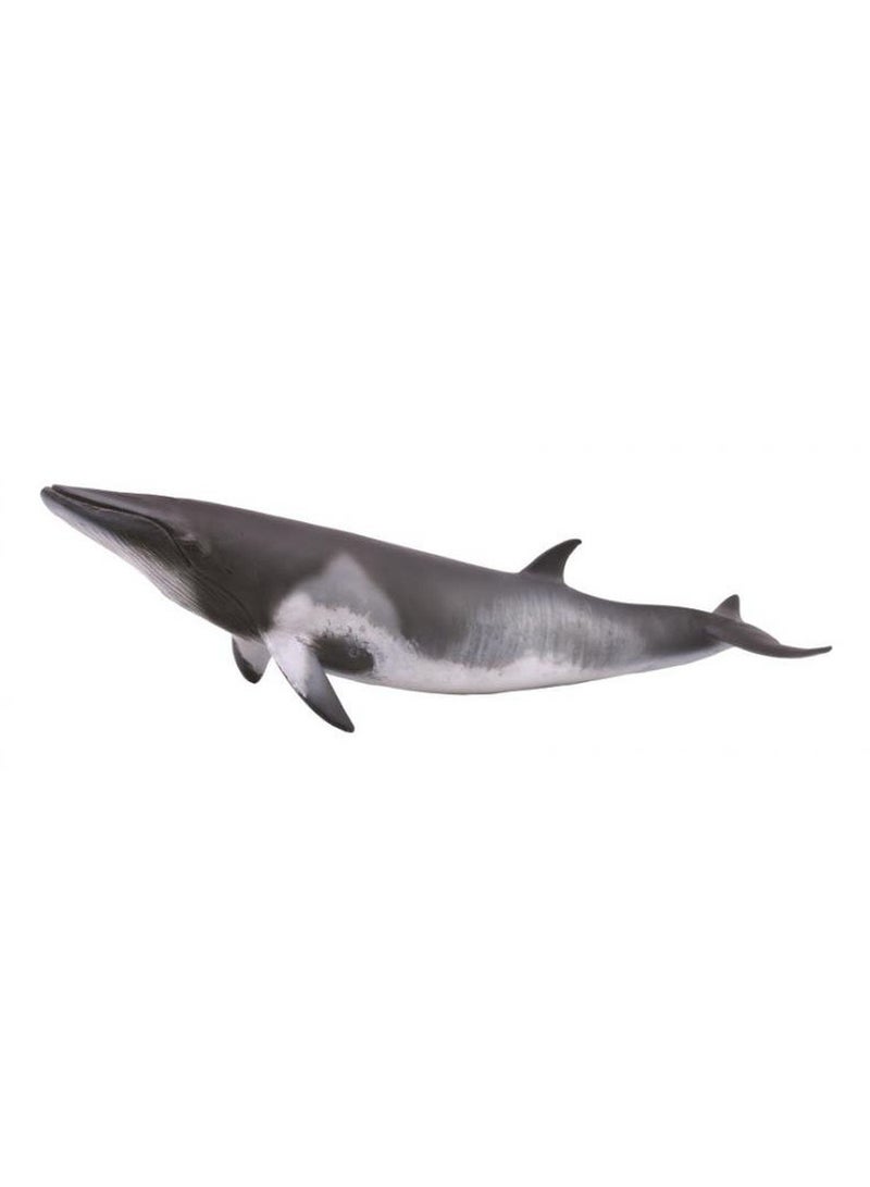 Collecta - Minke Whale - 88862