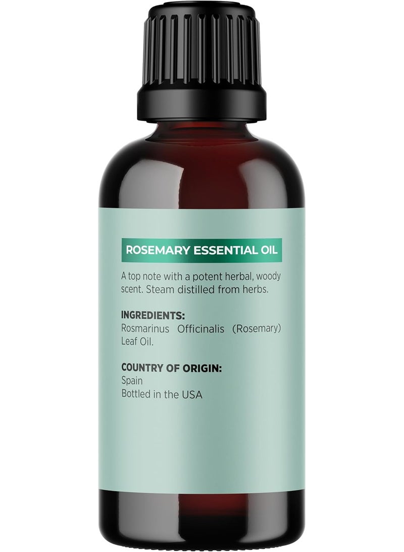 مايبل هوليستكس زيت اكليل جبل عطري نقي غير مخفف ومنعش بسعة 1 اونصة لنمو الشعر/العناية بالبشرة/الاظافر/العلاج العطري/موزع الزيوت العطرية/التنظيف/العناية بفروة الرأس الجافة - Image 3