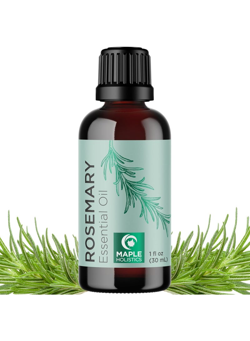 مايبل هوليستكس زيت اكليل جبل عطري نقي غير مخفف ومنعش بسعة 1 اونصة لنمو الشعر/العناية بالبشرة/الاظافر/العلاج العطري/موزع الزيوت العطرية/التنظيف/العناية بفروة الرأس الجافة - Image 1