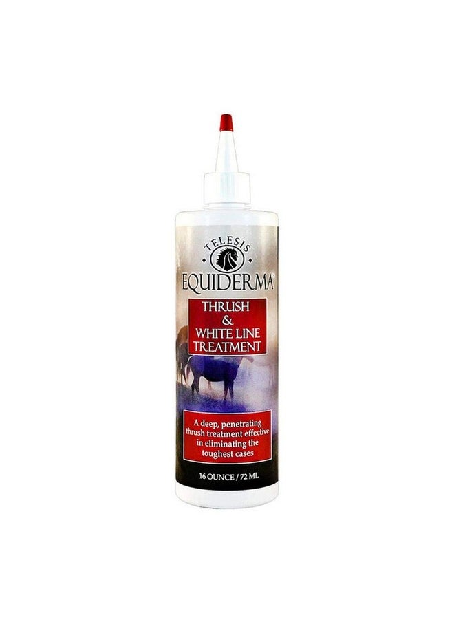 EQUIDERMA - Thrush And White Line Treatment 16 Oz - Image 1