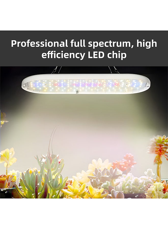 Generic LED Grow Light Full Spectrum 10W 2H/4H/8H Timer 4 Dimmable Levels Plant Lights for Indoor Plants Flower Seedlings Vegetable Pepper Hanging Growing Lamps  - Image 3
