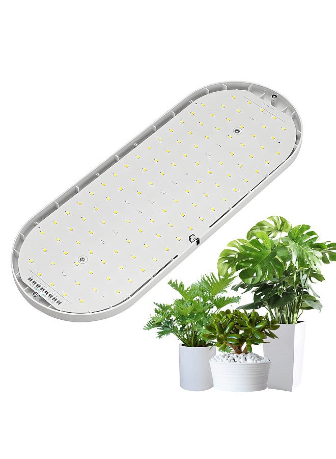 Generic LED Grow Light Full Spectrum 10W 2H/4H/8H Timer 4 Dimmable Levels Plant Lights for Indoor Plants Flower Seedlings Vegetable Pepper Hanging Growing Lamps  - Image 1