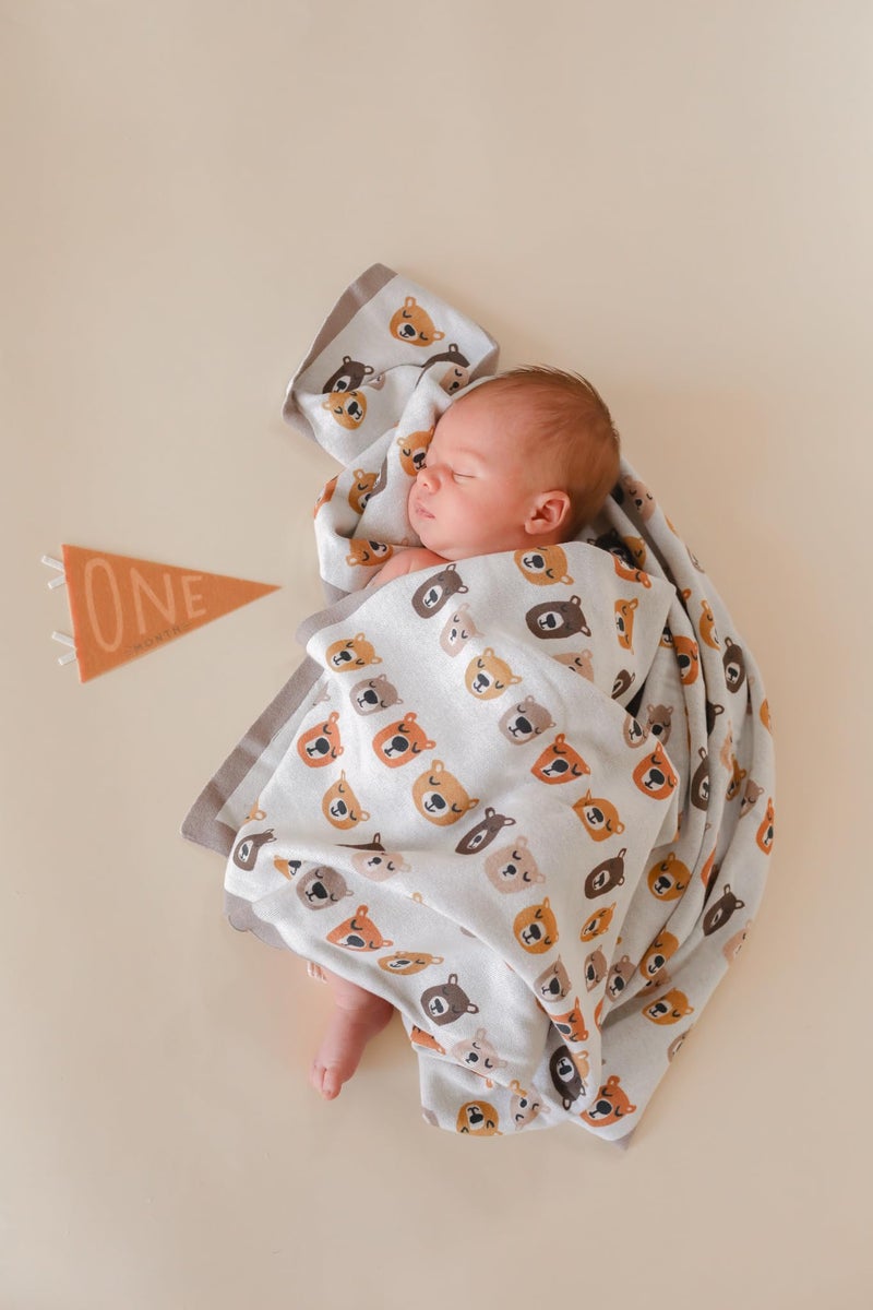Lucy Darling Petit Milestone Pennants – Baby Monthly Milestone Pennant Flags – Newborn Photo Props & Felt Nursery Decor – Keepsake Banner Set for Baby Photos – Mountain Fields - Image 2