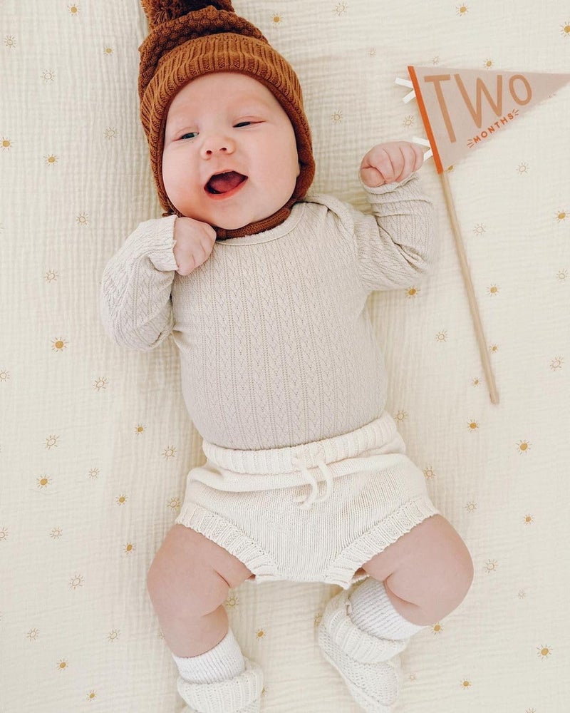 Lucy Darling Petit Milestone Pennants – Baby Monthly Milestone Pennant Flags – Newborn Photo Props & Felt Nursery Decor – Keepsake Banner Set for Baby Photos – Mountain Fields - Image 3