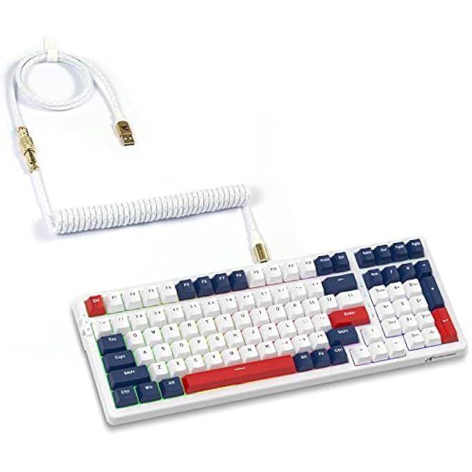 rayihni K98 96% WIRELESS MECHANICAL GAMING KEYBOARD，TRI-MODE BT5.0/2.4G/USB-C WITH COILED CABLE，RGB BACKLIT，HOT SWAPPABLE，100KEYS WITH NUMBER PAD， RECHARGEABLE，ERGONOMIC，FOR MAC/WIN-RED SWITCH - Image 1