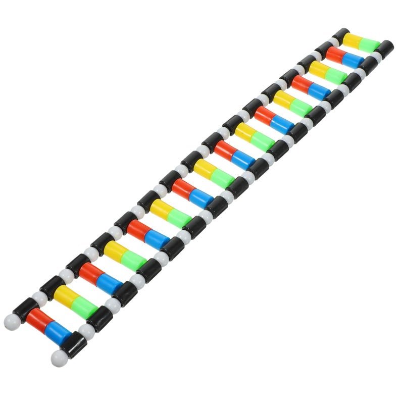 DNA Double Helix Model Kit 30cm for Science Teaching High School Home Learning Biology Classroom Supplies - Image 2