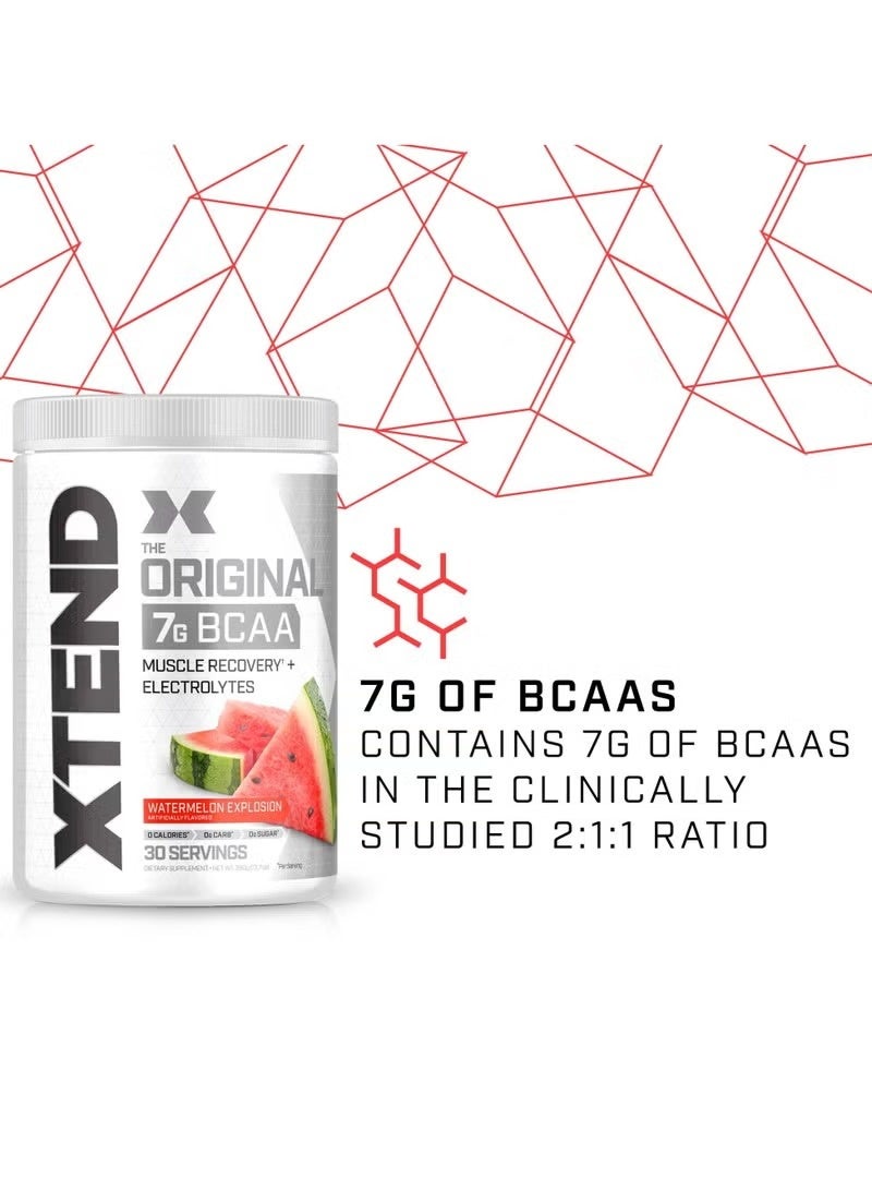 SCIVATION Xtend BCAA Watermelon Explosion | Muscle Recovery Powder with 7g Amino Acids + Electrolytes | 30 Servings - Image 3