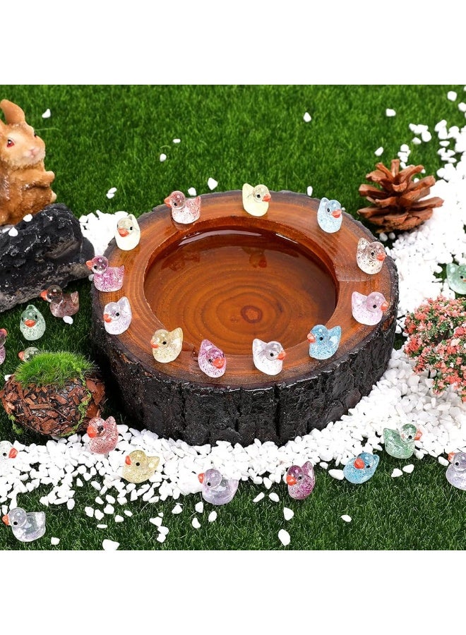 Fuyamp 120 Mini Resin Duck PatternsColorful Mini DucksMini GardenMini Cute Duck Decoration PatternsFamily GardenDoll House Landscape Decoration DIY - Image 2