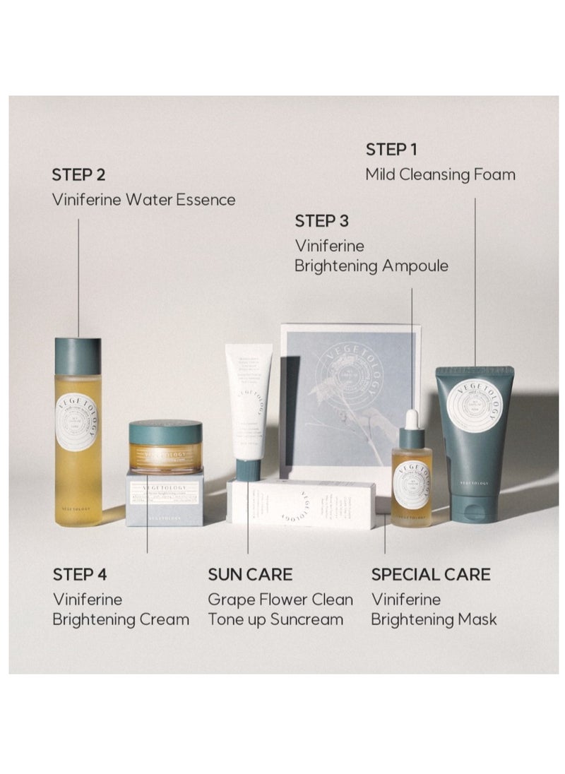 Vegetology Viniferine Water Essence Korean Skincare Moisture Facial Lotion Enrich, Hydrating Water Essence Hydrate and Keep Your Skin Moist- 5.07oz 150ml  - Image 4