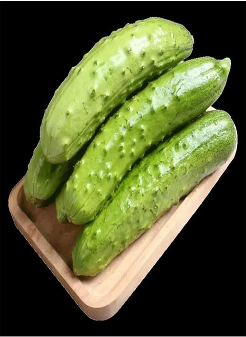 50Pcs Cucumber Seeds