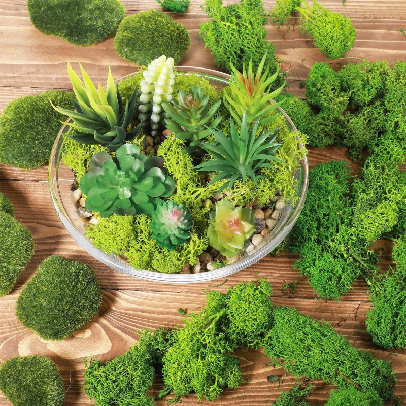 Canlierr 9 Oz/ 255 g Total Fake Green Moss for Potted Plants Indoor Natural Moss for Crafts Faux DIY Decor Decorative Model Making Walls Glass Containers Home(Dark Green, Green, Chartreuse) - Image 3