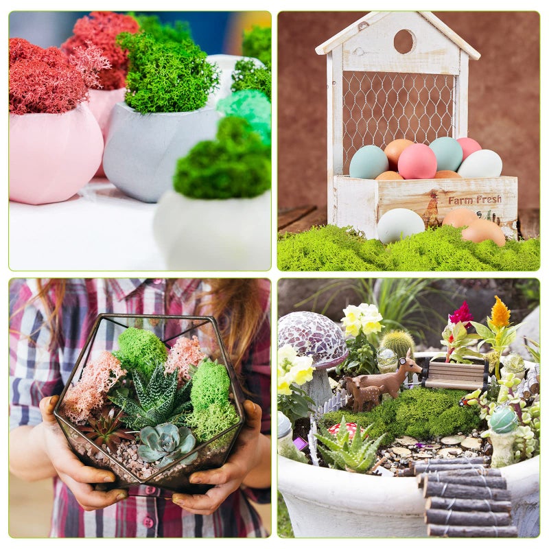 Canlierr 9 Oz/ 255 g Total Fake Green Moss for Potted Plants Indoor Natural Moss for Crafts Faux DIY Decor Decorative Model Making Walls Glass Containers Home(Dark Green, Green, Chartreuse) - Image 4