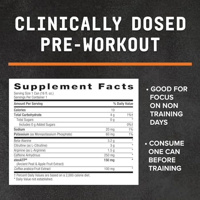 BEYOND RAW LIT On The Go | Ready to Drink Cans | Contains Caffeine, L-Citrulline, Beta-Alanine, and Nitric Oxide | Gummy Worm | 12 Count - Image 5