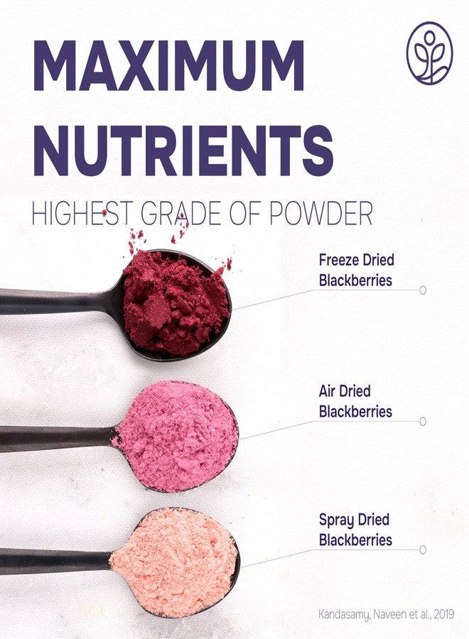 Jungle Powders Blackberry Powder 3.5 Ounce Bag Freeze Dried Blackberries Fruit Additive Free Unsweetened Smoothie Superfood Nordic Wild Blackberry Extract for Baking Flavoring Dry Black Berry Powder - Image 5