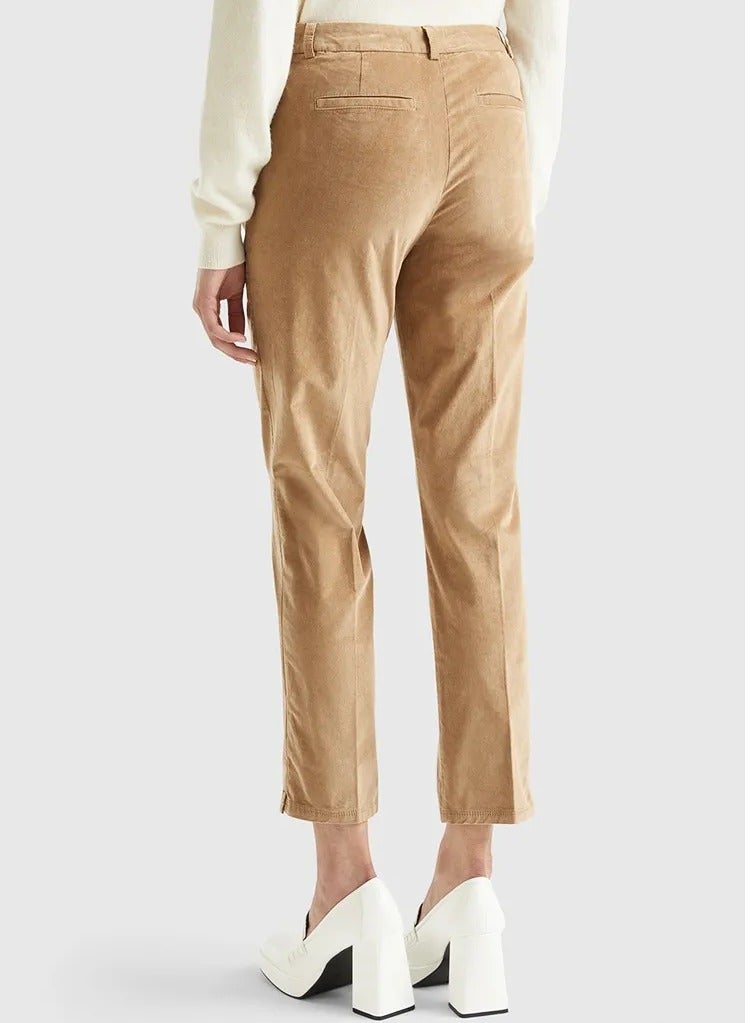 يونايتد كولورز أوف بينتيون تشينو مخملي مطاطي - Image 2