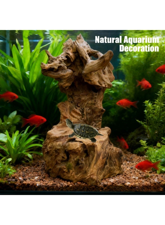 ديكور حوض السمك من خشب الجذور الطبيعي بطول 60 سم - زينة مصنوعة يدويًا من خشب الطفو لحوض السمك، وحوض السلاحف، والحوض الزجاجي، وديكورات الأحواض المائية، وديكورات المنزل - Image 4