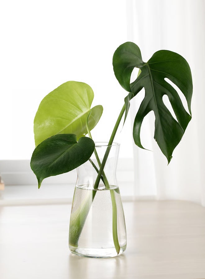 سويس كانتون فازة زهور زجاجية فاخرة - 20 سم، تصميم دائري أنيق، 10 سم قطر، تشطيب شفاف، متينة ومستقرة، سهلة التنظيف، مثالية للباقة أو كزينة مستقلة، متعددة الاستخدامات للمنزل والمكتب - Image 3