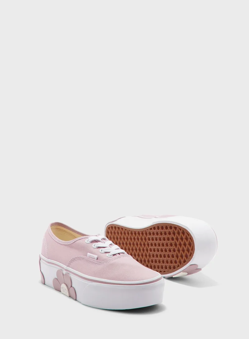 VANS Authentic Stackform Osf