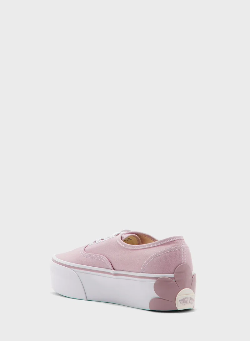 VANS Authentic Stackform Osf