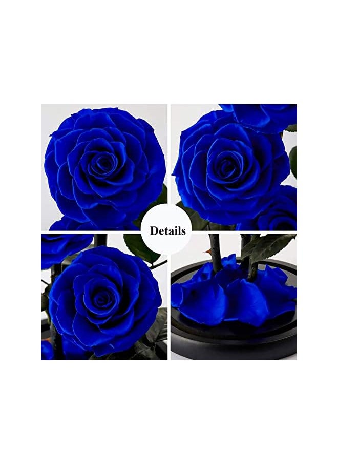 erorex Handmade Preserved Rose Forever Never Withered Flowers With Gift Box, Valentine's Gift for Wedding,Anniversary, Birthday, Mother's Day Gift, Best Gift for Her Rose (Single Rose, Blue)  - Image 3