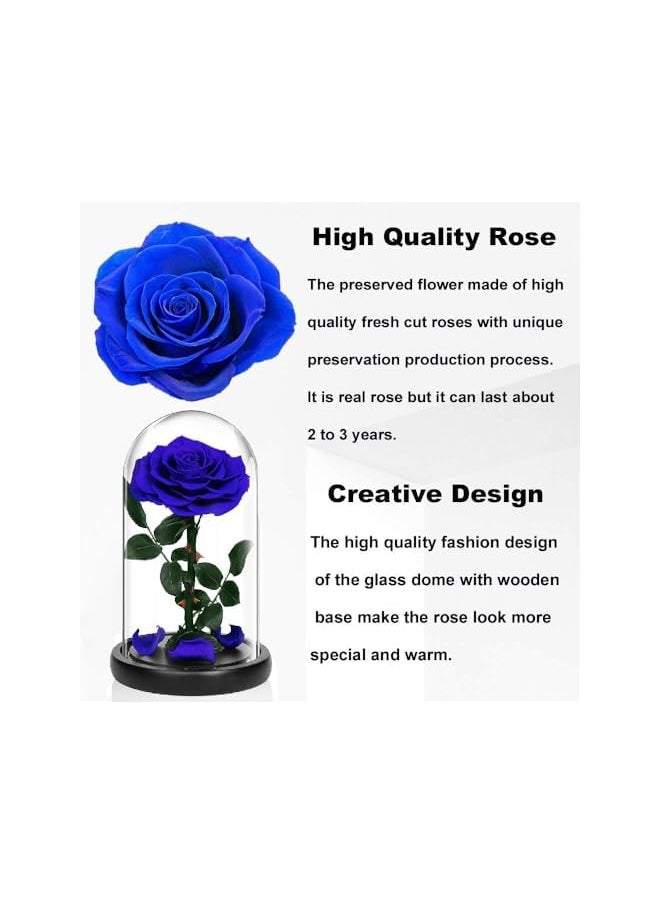 erorex Handmade Preserved Rose Forever Never Withered Flowers With Gift Box, Valentine's Gift for Wedding,Anniversary, Birthday, Mother's Day Gift, Best Gift for Her Rose (Single Rose, Blue)  - Image 4