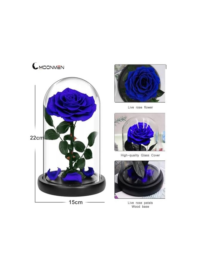 erorex Handmade Preserved Rose Forever Never Withered Flowers With Gift Box, Valentine's Gift for Wedding,Anniversary, Birthday, Mother's Day Gift, Best Gift for Her Rose (Single Rose, Blue)  - Image 2