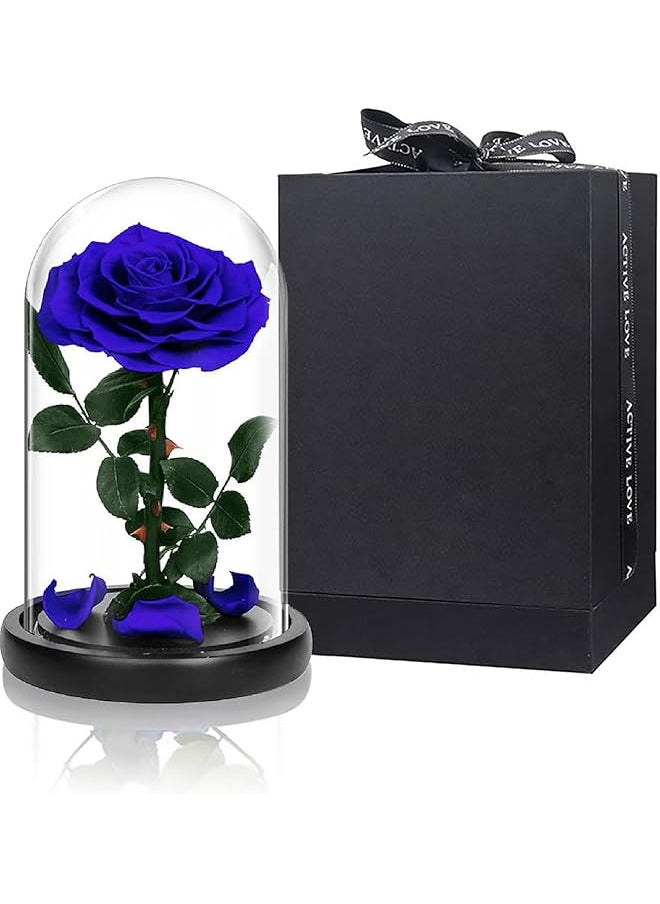 erorex Handmade Preserved Rose Forever Never Withered Flowers With Gift Box, Valentine's Gift for Wedding,Anniversary, Birthday, Mother's Day Gift, Best Gift for Her Rose (Single Rose, Blue)  - Image 1
