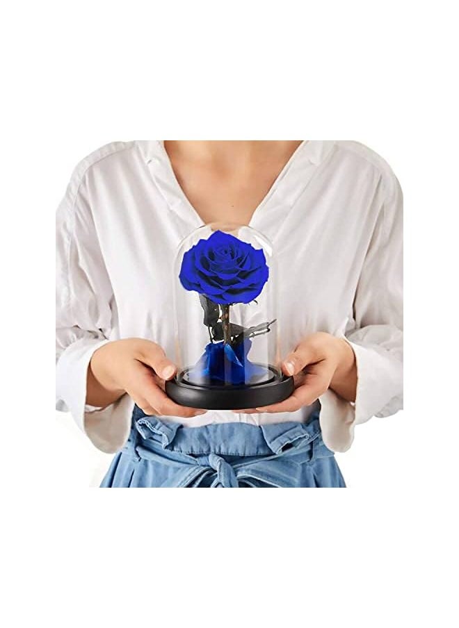 erorex Handmade Preserved Rose Forever Never Withered Flowers With Gift Box, Valentine's Gift for Wedding,Anniversary, Birthday, Mother's Day Gift, Best Gift for Her Rose (Single Rose, Blue)  - Image 5