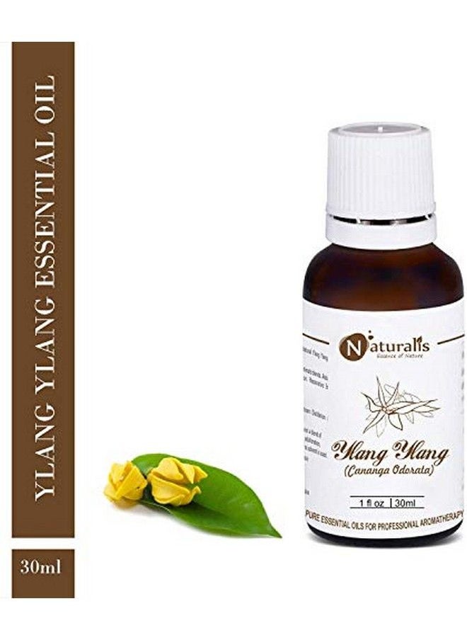 Naturalis Ylang Ylang Essential Oil By 100% Pure & Natural 30Ml  - Image 3