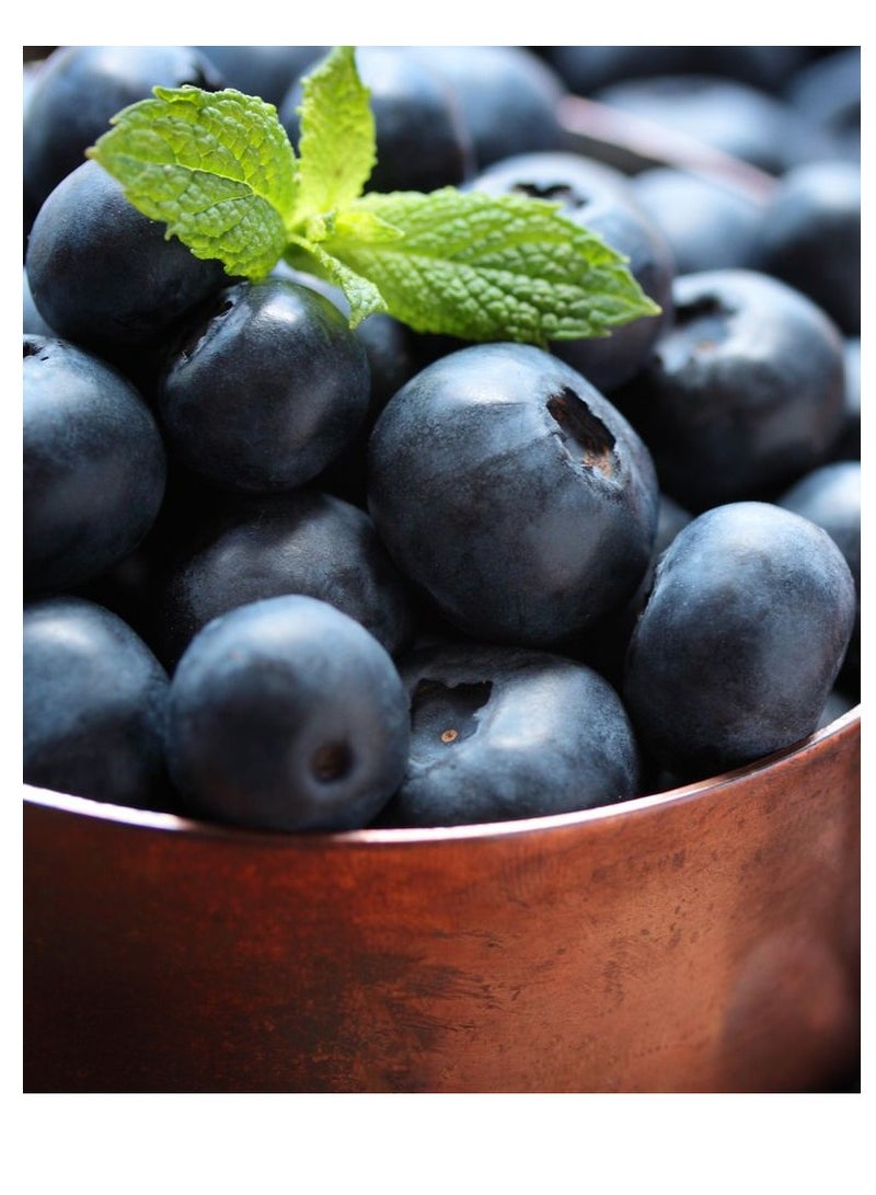 غامارد لوشن منشط لتساقط الشعر ونمو الشعر من جامارد 6 قارورة 30 مل - Image 3