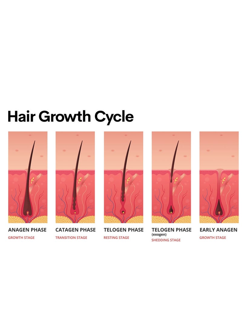 غامارد لوشن منشط لتساقط الشعر ونمو الشعر من جامارد 6 قارورة 30 مل - Image 4