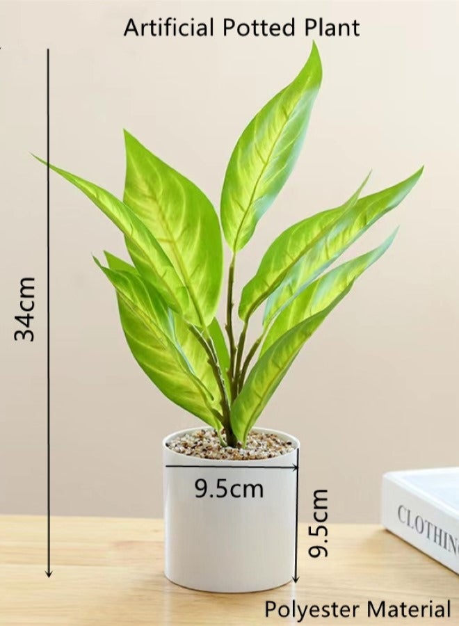 Kutis قطعة واحدة من نبات صناعي محفوظ بوعاء زخرفة حديثة لتزيين الطاولة بوليستر أخضر/أبيض 34x9.5 سنتيمتر - Image 3