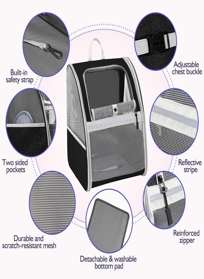 GBEX Large Cat Carrier Backpack, Pet Carrier Backpack with Breathable Mesh for Small Medium Cats & Puppies, Upgraded Steel Frame Bubble Cat Carrier for Hiking Travel Cycling - Grey (Mesh) - Image 5
