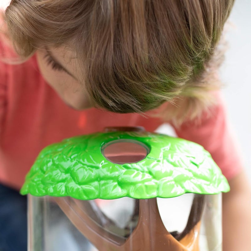 Educational Insights GeoSafari Jr. Ladybug Garden - Kids Outdoor Bug Catcher for Ages 3+ - Image 5
