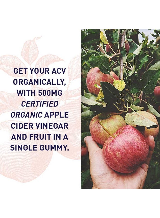 Garden of Life Apple Cider Vinegar Gummies USDA Organic ACV Gummy Vitamins Made with Real Fruit Blend, Whole Food Vitamin B12 - Vegan, Gluten Free, Non-GMO, Kosher - 60 Gummie - Image 2