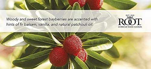Root Candles Holiday Scented Candles Honeycomb Glass Premium 3-Wick Handcrafted Beeswax Blend Candle, 12-Ounce, Bayberry - Image 2