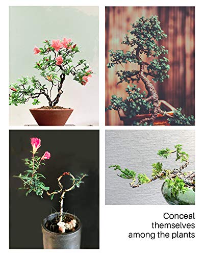 MoHern Bonsai Wire and Bonsai Tool Kit, Total 164 Feet Bonsai Tree Wire for Bonzai Trees Indoor, Size of 1-mm, 1.5-mm, 2-mm Aluminum Wire - Image 4